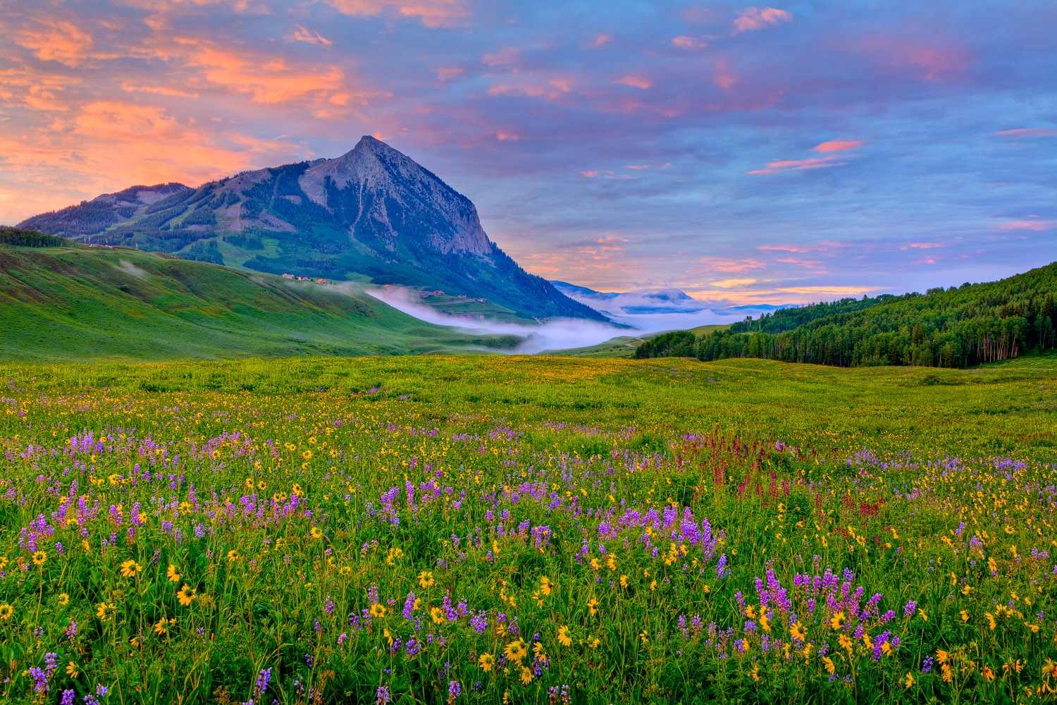 Colorado's Crested Butte Wildflower Festival Salutes Nature’s Explosion